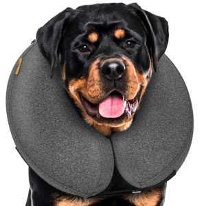 Alternative to Dog Cone